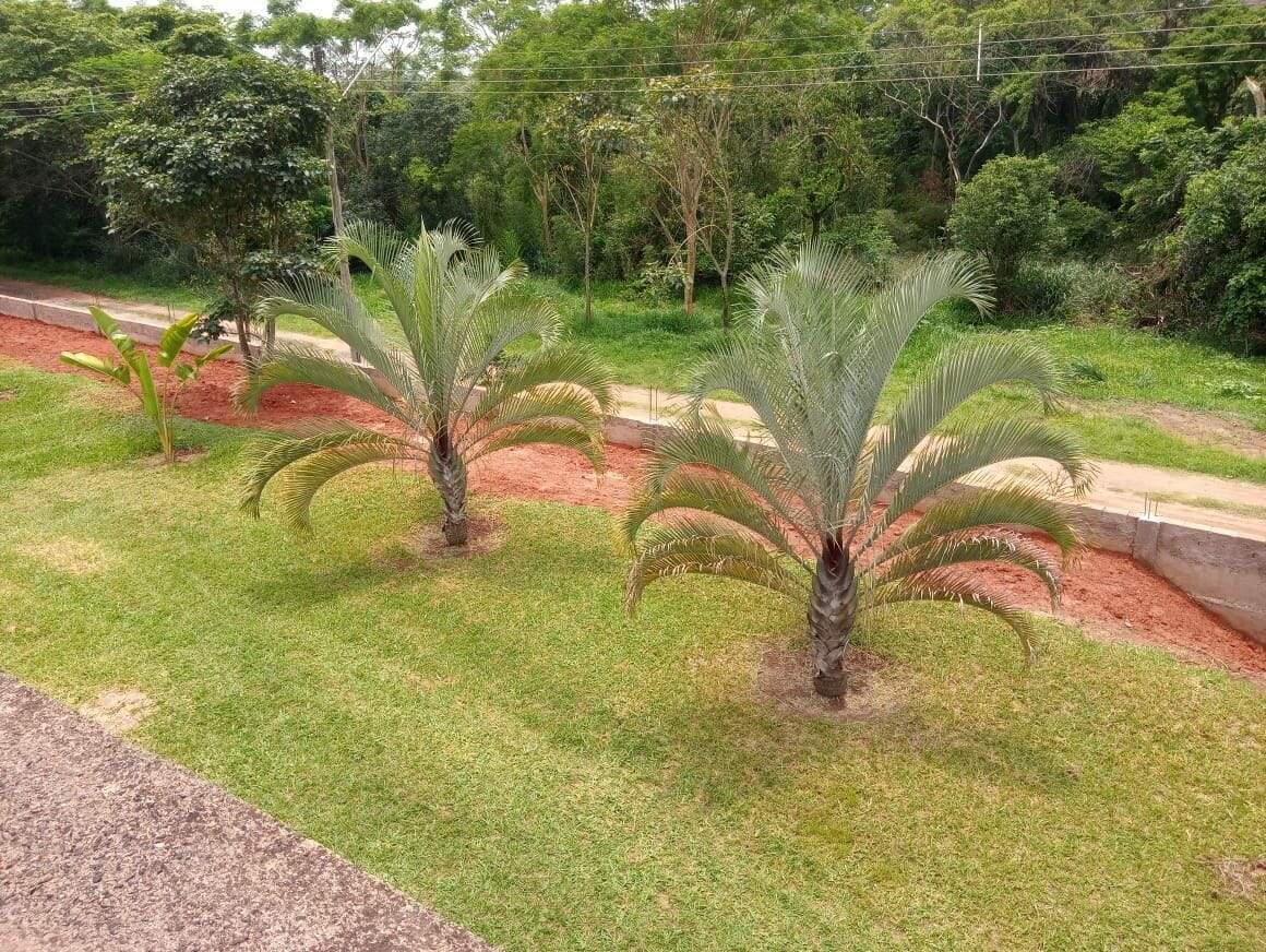 Chácara à venda no Jardim Primavera: chacara-com-2-dormitorios-a-venda-1368-m-por-r-420-000-residencial-vale-dos-lirios-nova-odessa-sp1732654935910doqdp.jpg