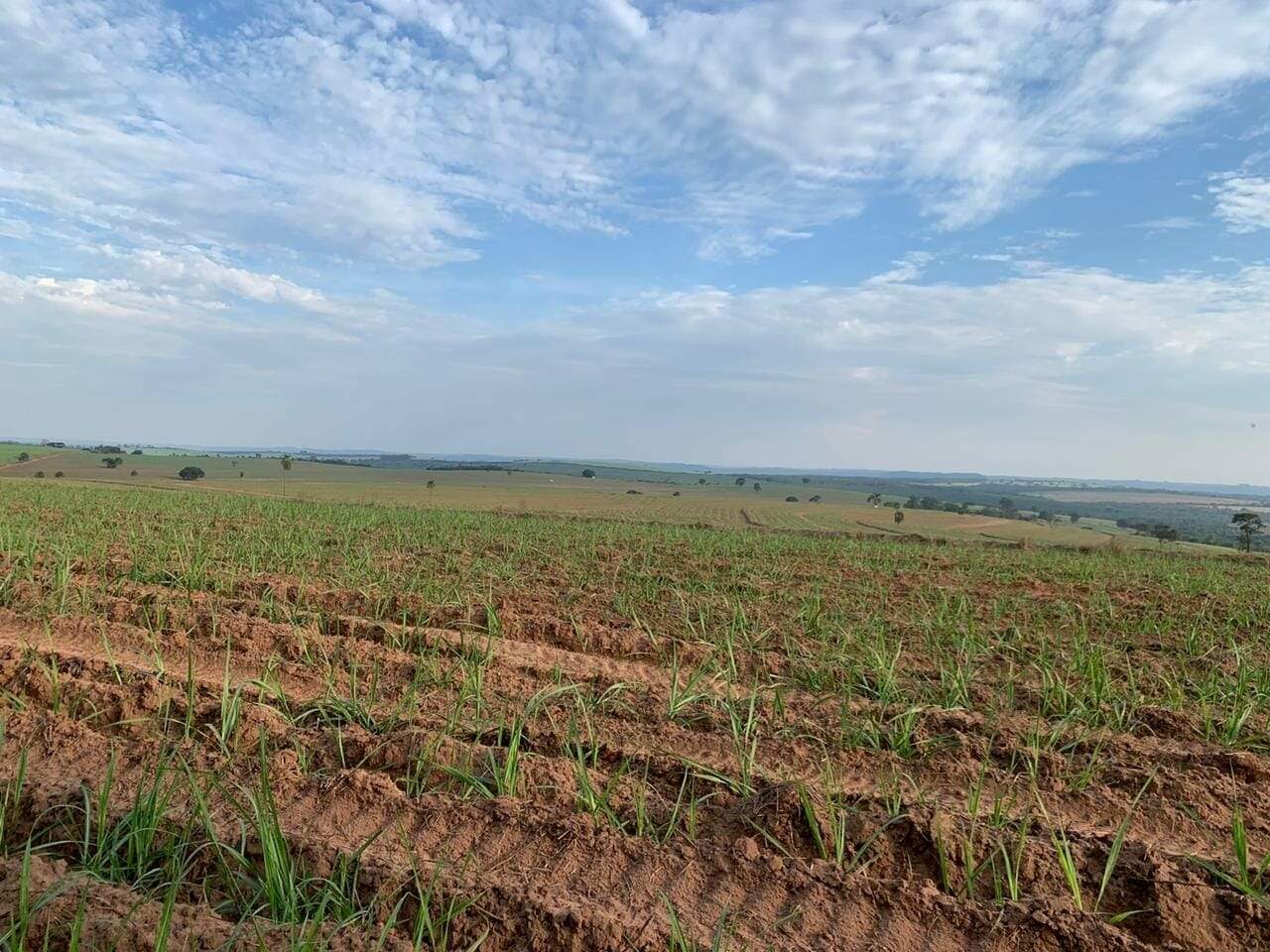 Fazenda à venda no Higienópolis: fazenda-a-venda-2395800-m-por-r-16-830-000-zona-rural-piracicaba-sp1732654892020mkacb.jpg