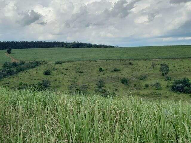 Fazenda à venda no Higienópolis: fazenda-a-venda-2395800-m-por-r-16-830-000-zona-rural-piracicaba-sp1732654894224tzyzl.jpg