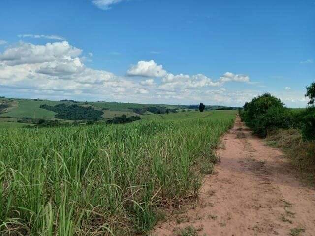 Fazenda à venda no Higienópolis: fazenda-a-venda-2395800-m-por-r-16-830-000-zona-rural-piracicaba-sp1732654894254dyihp.jpg