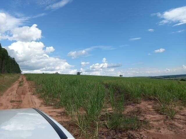 Fazenda à venda no Higienópolis: fazenda-a-venda-2395800-m-por-r-16-830-000-zona-rural-piracicaba-sp1732654895730cijla.jpg
