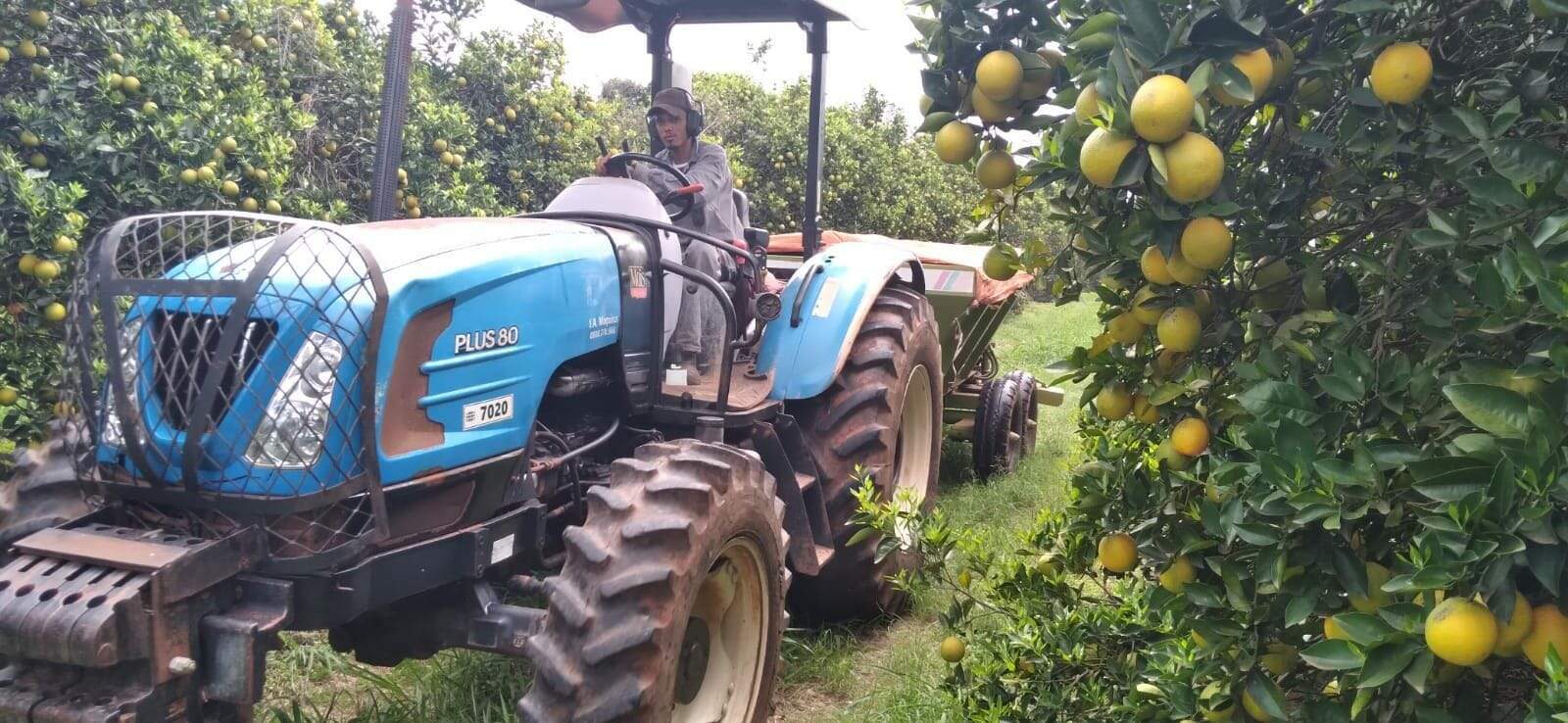 Fazenda à venda no Santa Teresinha: fazenda-com-3-dormitorios-a-venda-5584876-m-por-r-100-000-000-00-usina-estreito-pedregulho-sp1732654930605snkia.jpg
