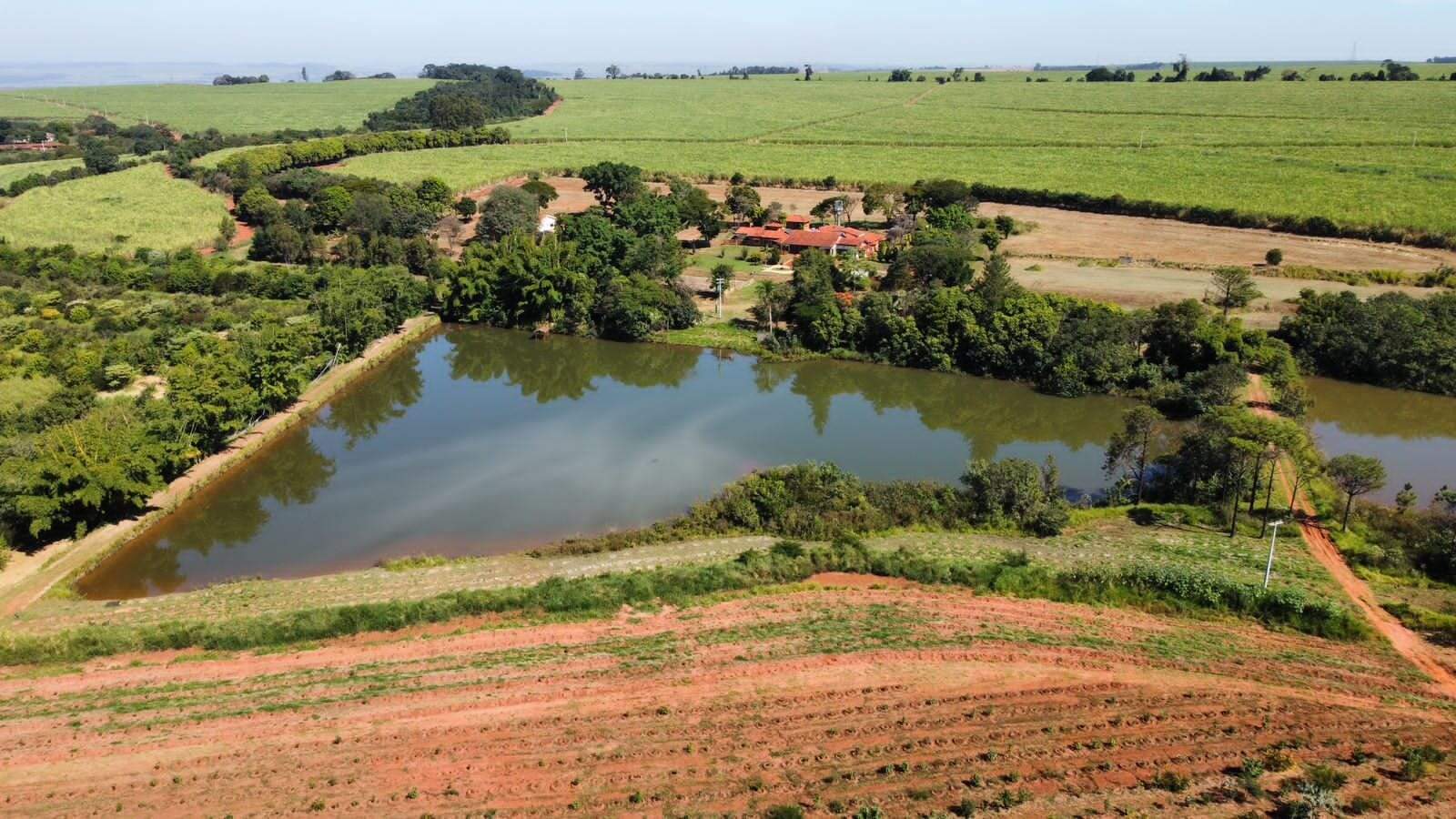 Fazenda à venda no Jardim Silvania (Vila Xavier): fazenda-a-venda-1766600-m-por-r-21-900-000-zona-rural-araraquara-sp1732654923919tzbir.jpg