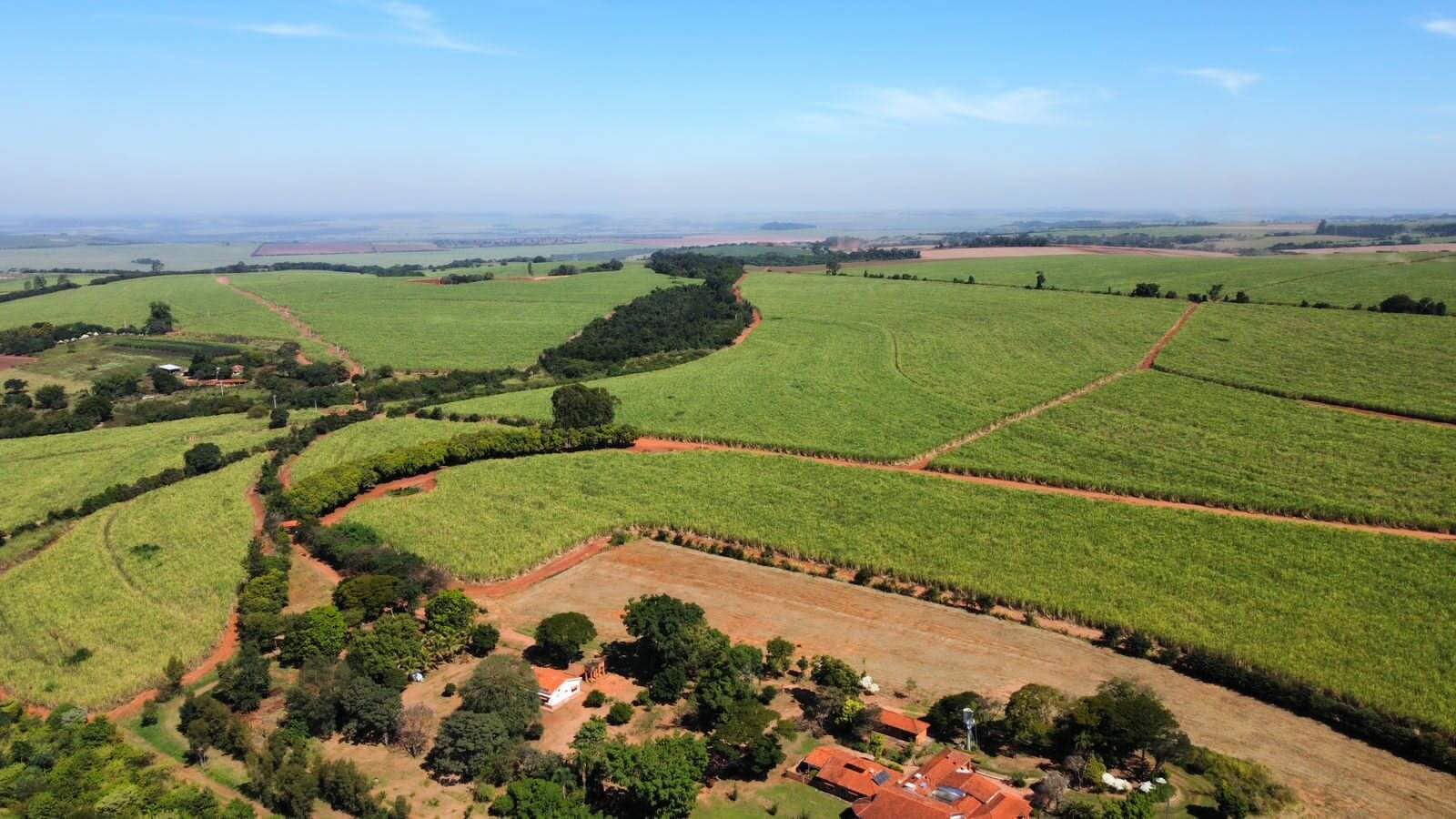 Fazenda à venda no Jardim Silvania (Vila Xavier): fazenda-a-venda-1766600-m-por-r-21-900-000-zona-rural-araraquara-sp1732654924682ukcur.jpg