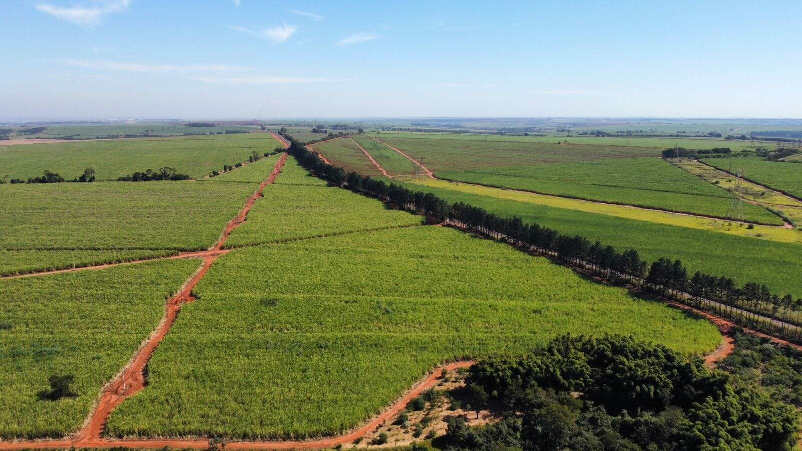 Fazenda à venda no Jardim Silvania (Vila Xavier): fazenda-a-venda-1766600-m-por-r-21-900-000-zona-rural-araraquara-sp1732654928364jjgey.jpg