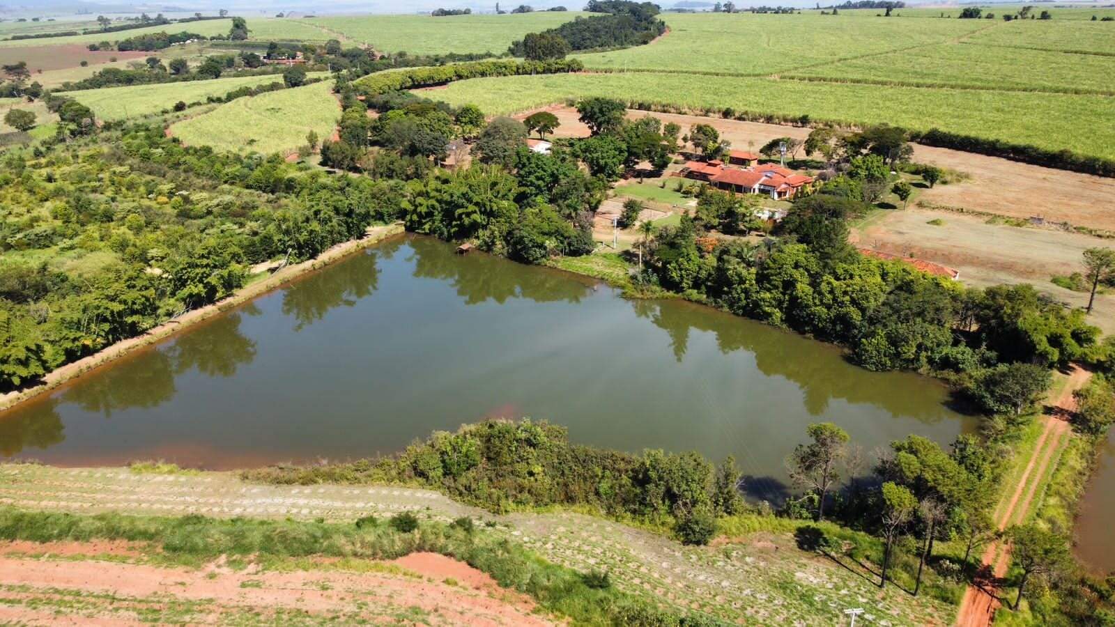 Fazenda à venda no Jardim Silvania (Vila Xavier): fazenda-a-venda-1766600-m-por-r-21-900-000-zona-rural-araraquara-sp1732654928749lzcik.jpg