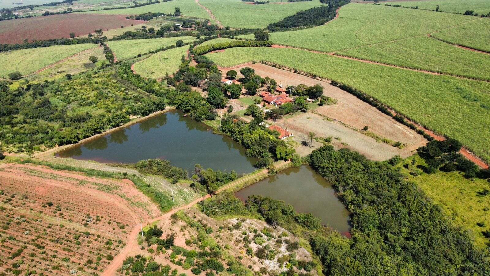 Fazenda à venda no Jardim Silvania (Vila Xavier): fazenda-a-venda-1766600-m-por-r-21-900-000-zona-rural-araraquara-sp1732654937010aobjw.jpg