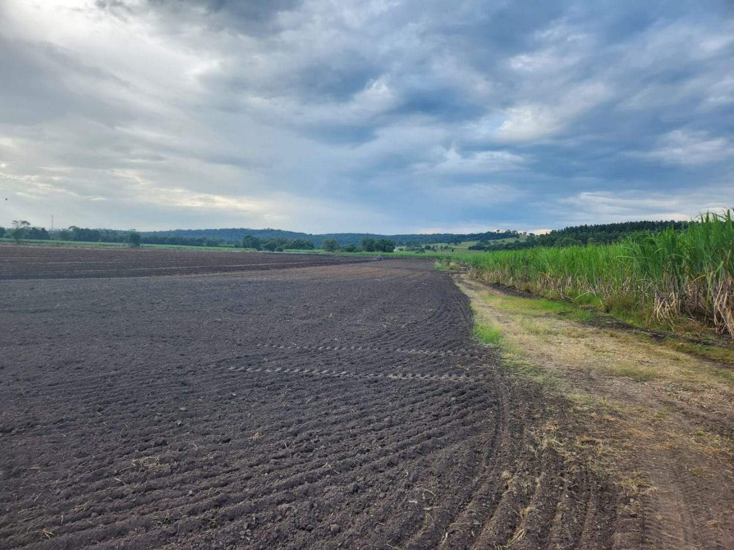 Fazenda à venda no Zona Rural: fazenda-a-venda-847000-m-por-r-9-450-000-zona-rural-santa-rosa-de-viterbo-sp1732654931468fmizt.jpg