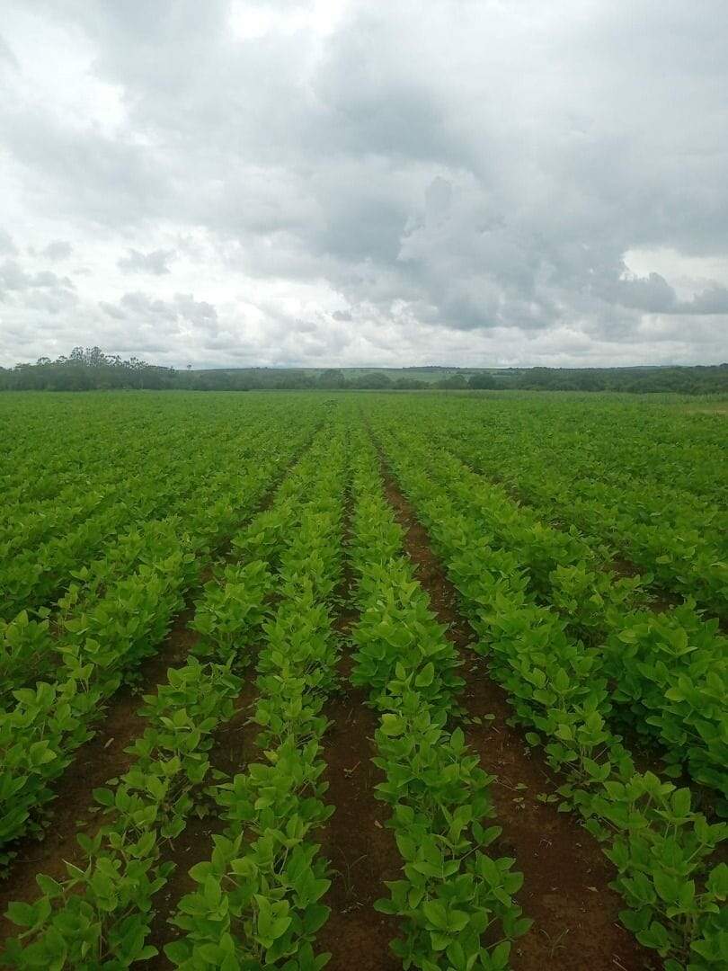 Fazenda à venda no Zona Rural: fazenda-a-venda-847000-m-por-r-9-450-000-zona-rural-santa-rosa-de-viterbo-sp1732654944083ijsgl.jpg