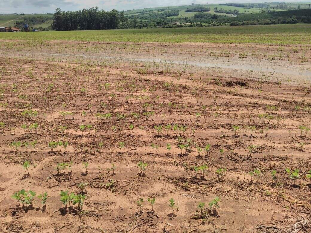 Fazenda à venda no São João: fazenda-com-3-dormitorios-a-venda-726000-m-por-r-12-300-000-sitio-novo-horizonte-casa-branca-sp1732654945441wekjm.jpg