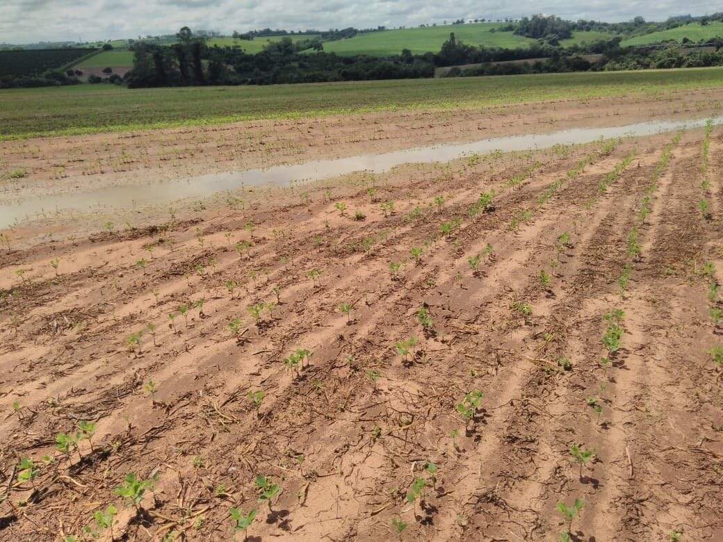 Fazenda à venda no São João: fazenda-com-3-dormitorios-a-venda-726000-m-por-r-12-300-000-sitio-novo-horizonte-casa-branca-sp1732654951142wyprl.jpg