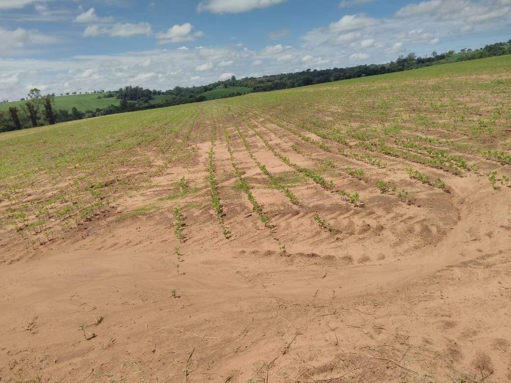 Fazenda à venda no São João: fazenda-com-3-dormitorios-a-venda-726000-m-por-r-12-300-000-sitio-novo-horizonte-casa-branca-sp1732654952794cvoxx.jpg