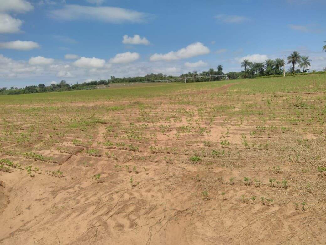 Fazenda à venda no São João: fazenda-com-3-dormitorios-a-venda-726000-m-por-r-12-300-000-sitio-novo-horizonte-casa-branca-sp1732654956695xmoxu.jpg
