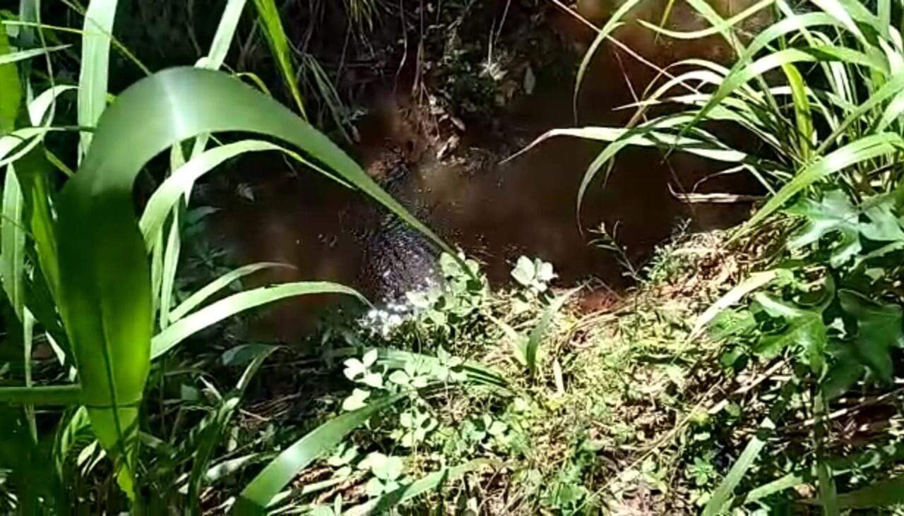 Fazenda à venda no São João: fazenda-com-3-dormitorios-a-venda-726000-m-por-r-12-300-000-sitio-novo-horizonte-casa-branca-sp1732654958250wheqy.jpg
