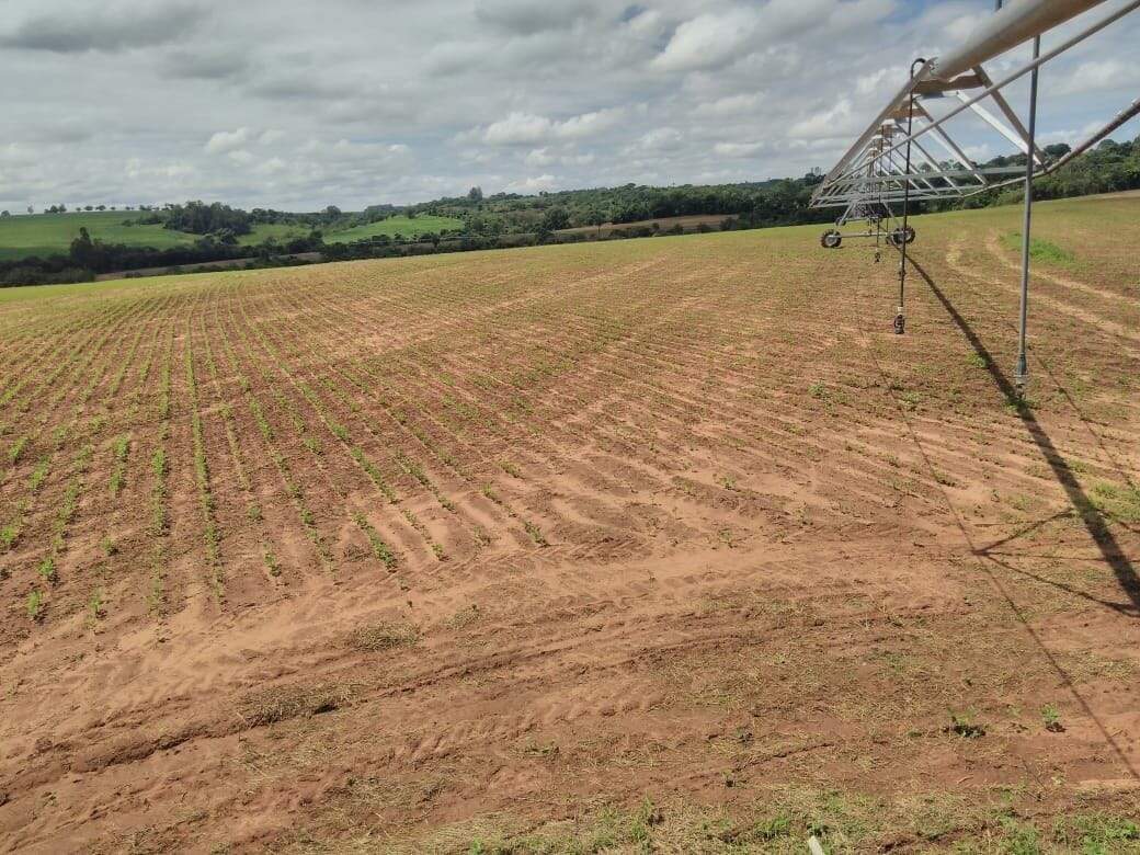 Fazenda à venda no São João: fazenda-com-3-dormitorios-a-venda-726000-m-por-r-12-300-000-sitio-novo-horizonte-casa-branca-sp1732654967665jfzrz.jpg