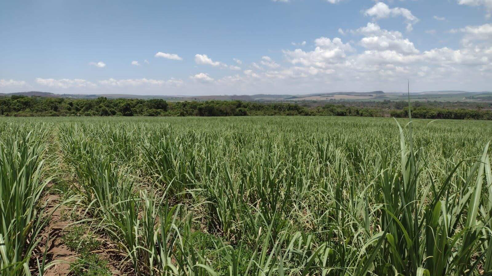Fazenda à venda no Parque Industria: fazenda-a-venda-1234200-m-por-r-12-000-000-zona-rural-ribeirao-preto-sp1732654961377wqliu.jpg