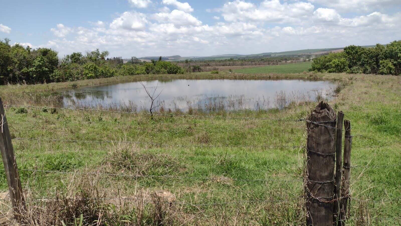 Fazenda à venda no Parque Industria: fazenda-a-venda-1234200-m-por-r-12-000-000-zona-rural-ribeirao-preto-sp1732654980308mugru.jpg