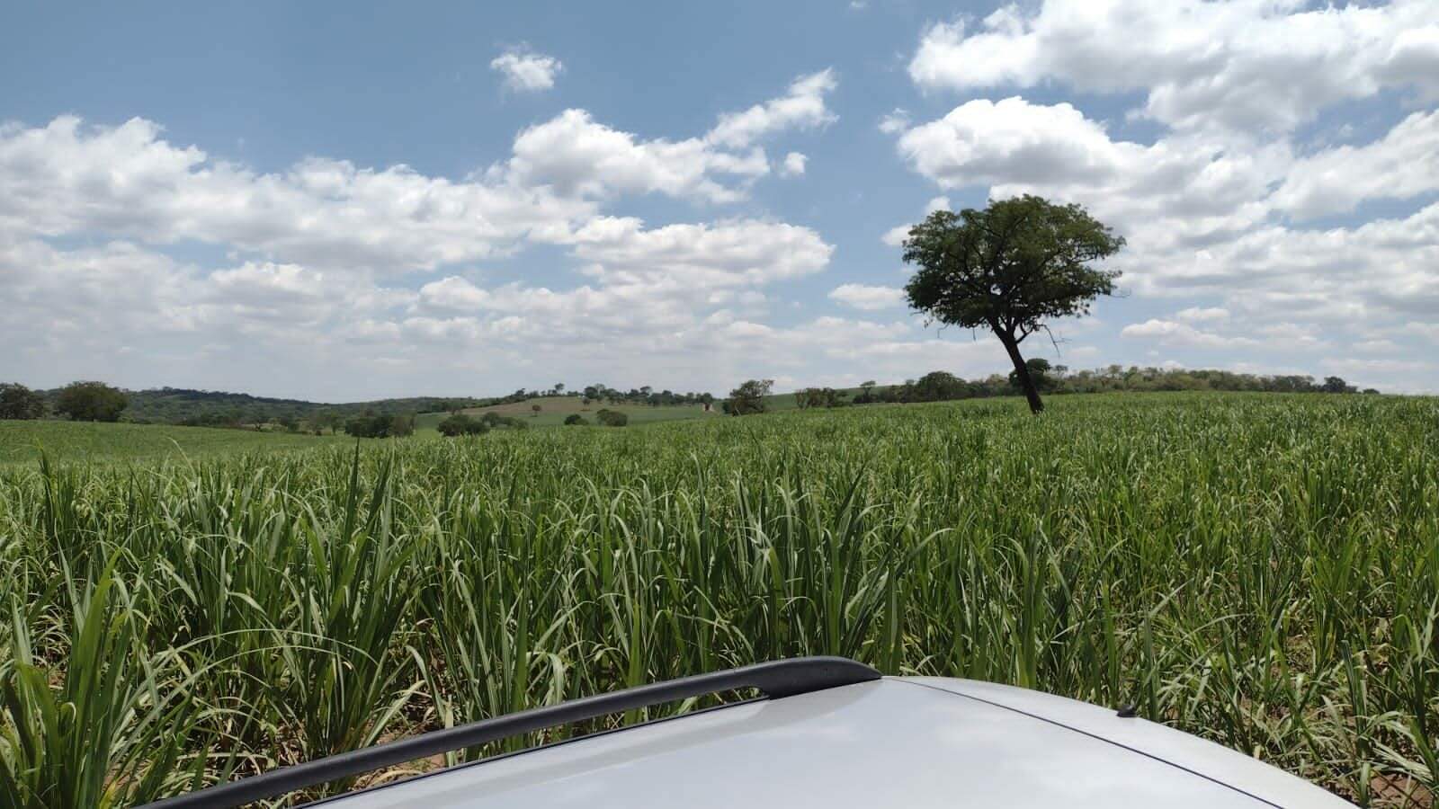 Fazenda à venda no Parque Industria: fazenda-a-venda-1234200-m-por-r-12-000-000-zona-rural-ribeirao-preto-sp1732654990966qjxyt.jpg