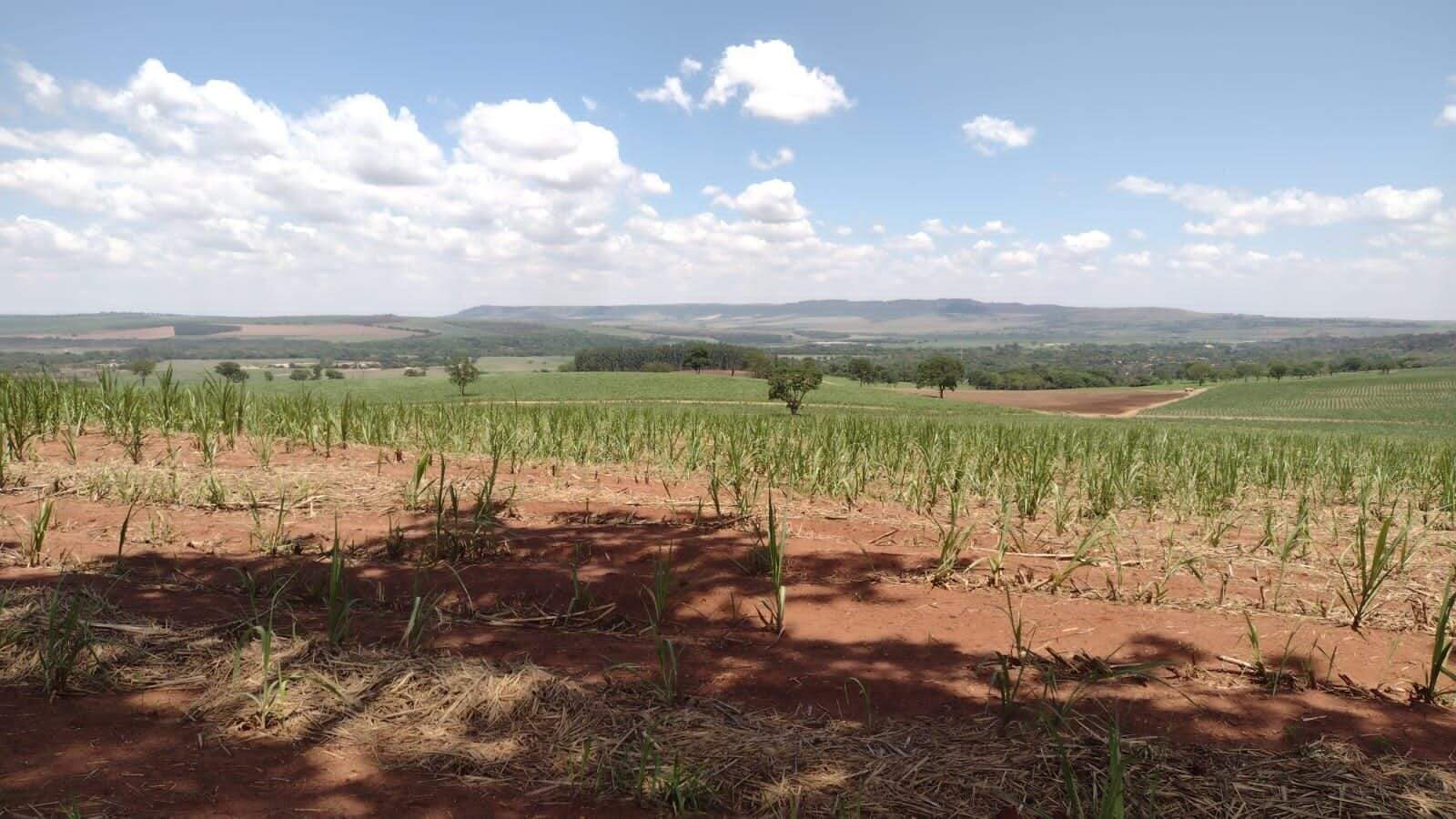Fazenda à venda no Parque Industria: fazenda-a-venda-1234200-m-por-r-12-000-000-zona-rural-ribeirao-preto-sp1732654992984bxfhu.jpg