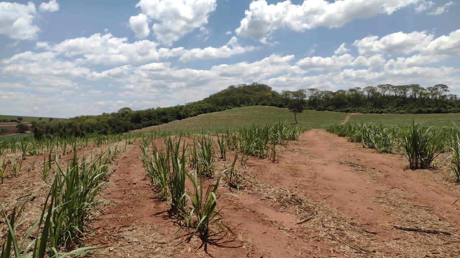 Fazenda à venda no Parque Industria: fazenda-a-venda-1234200-m-por-r-12-000-000-zona-rural-ribeirao-preto-sp1732654994636eftlr.jpg
