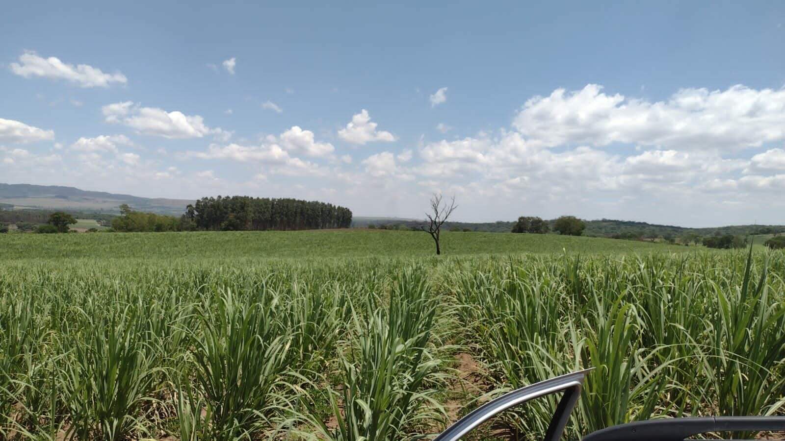 Fazenda à venda no Parque Industria: fazenda-a-venda-1234200-m-por-r-12-000-000-zona-rural-ribeirao-preto-sp1732654999110cowwb.jpg