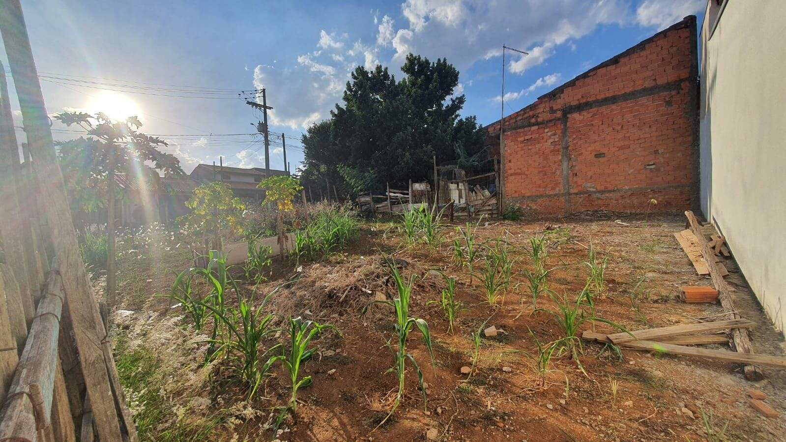 Terreno à venda no Jardim Barão: terreno-a-venda-264-m-por-r-225-000-jardim-vila-rica-santa-barbara-d-oeste-sp1732654986511alnvg.jpg