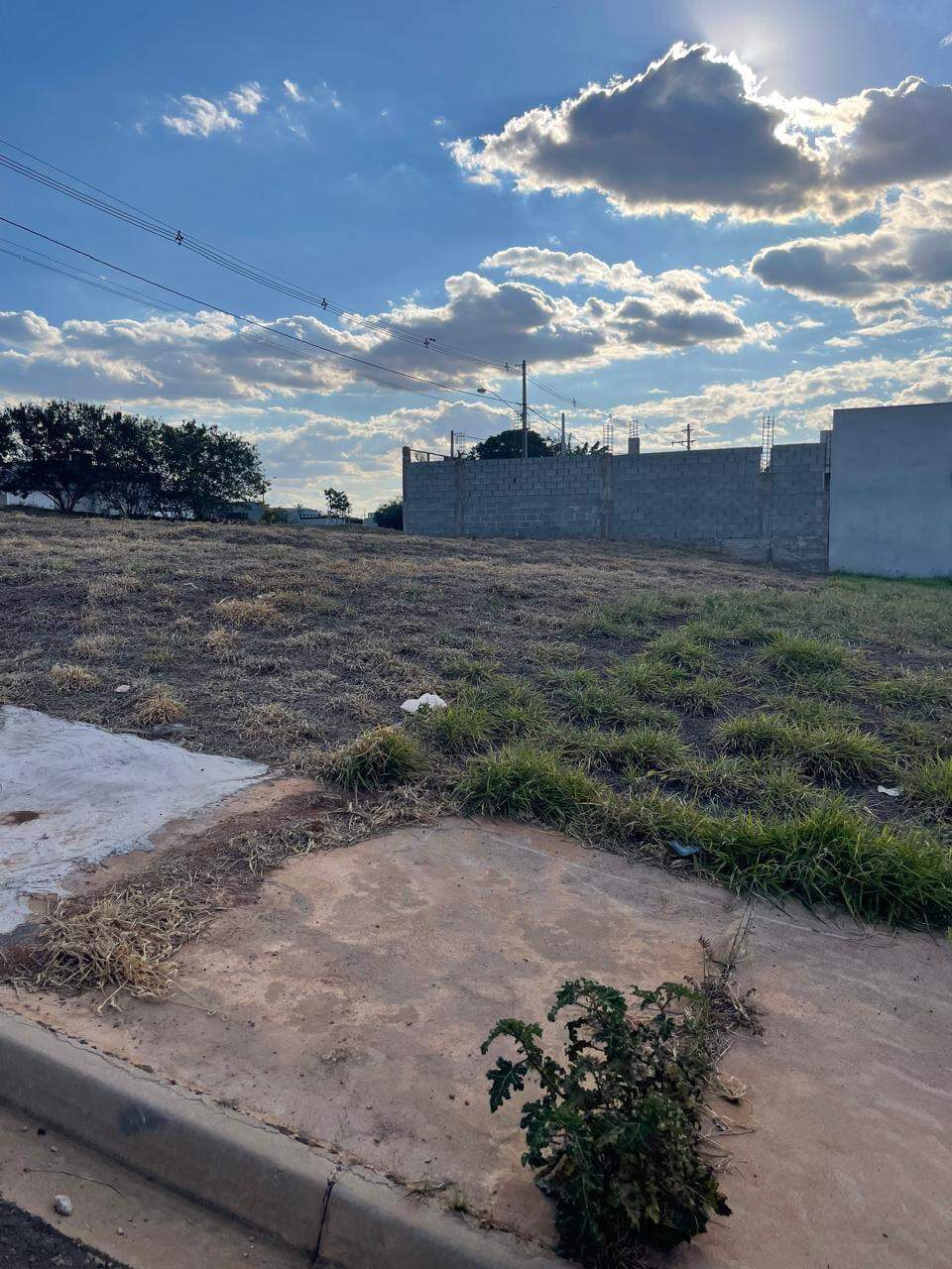Terreno à venda no Jardim Aranha Oliveira: imagem-do-whatsapp-de-2025-09-02-a-s-18-24-44_31f0a4901757448167625.jpg