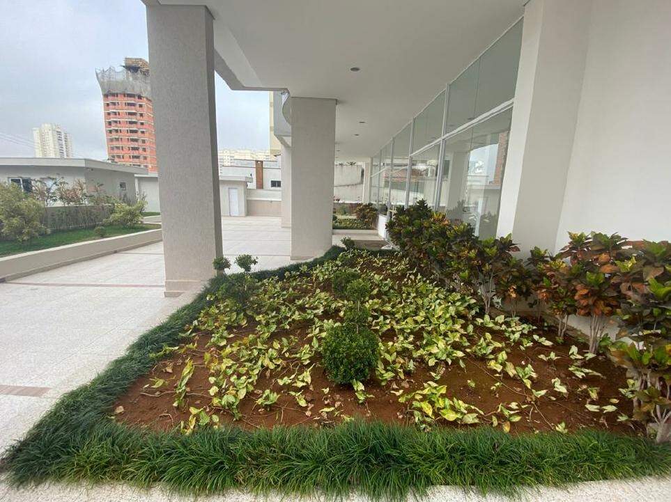 Jardim