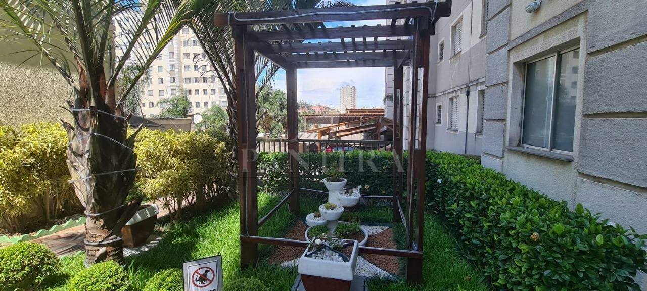Jardim