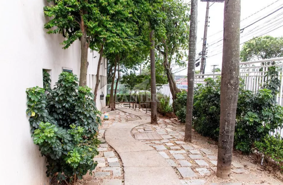 Espaço Pet