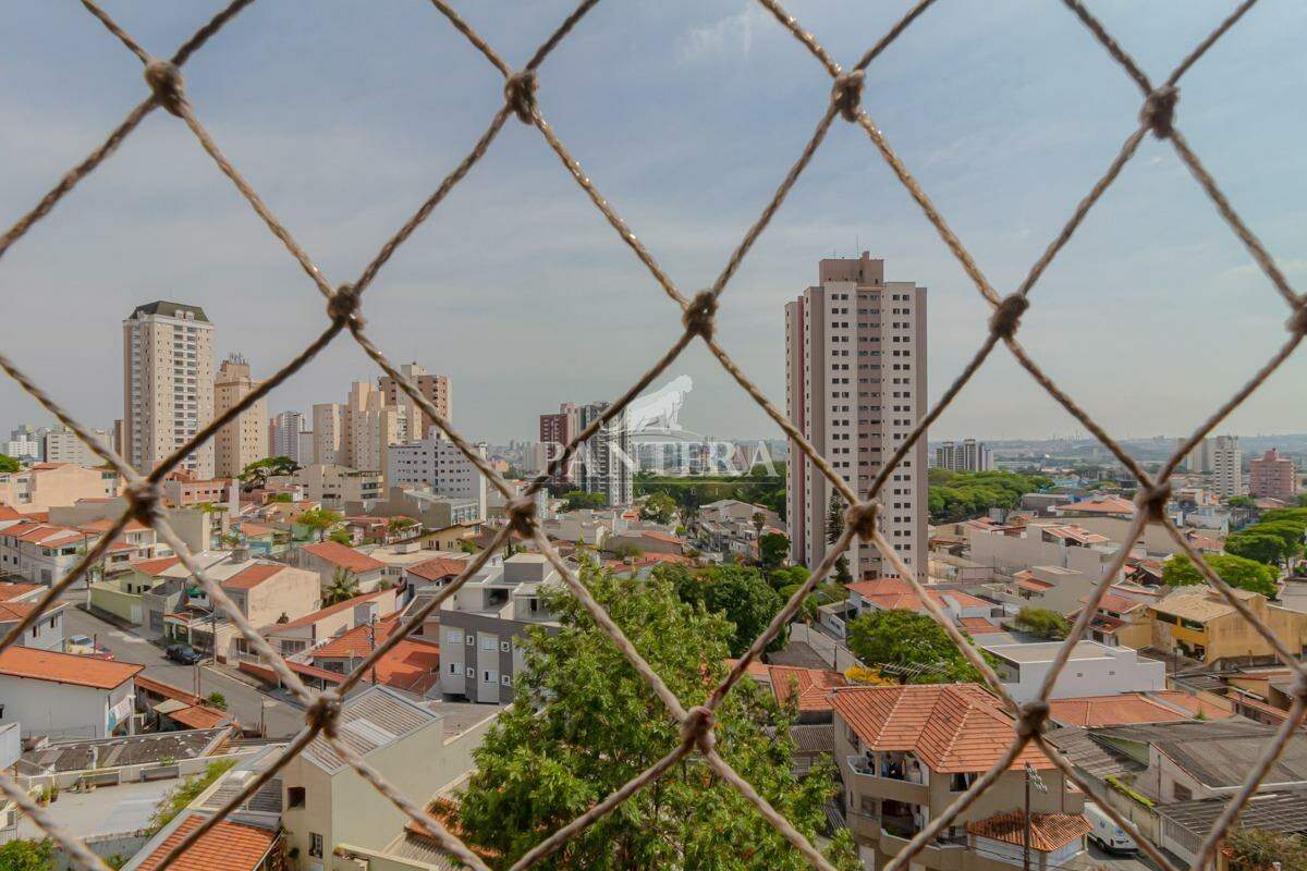 Vista