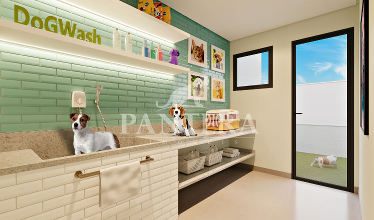 Dog wash