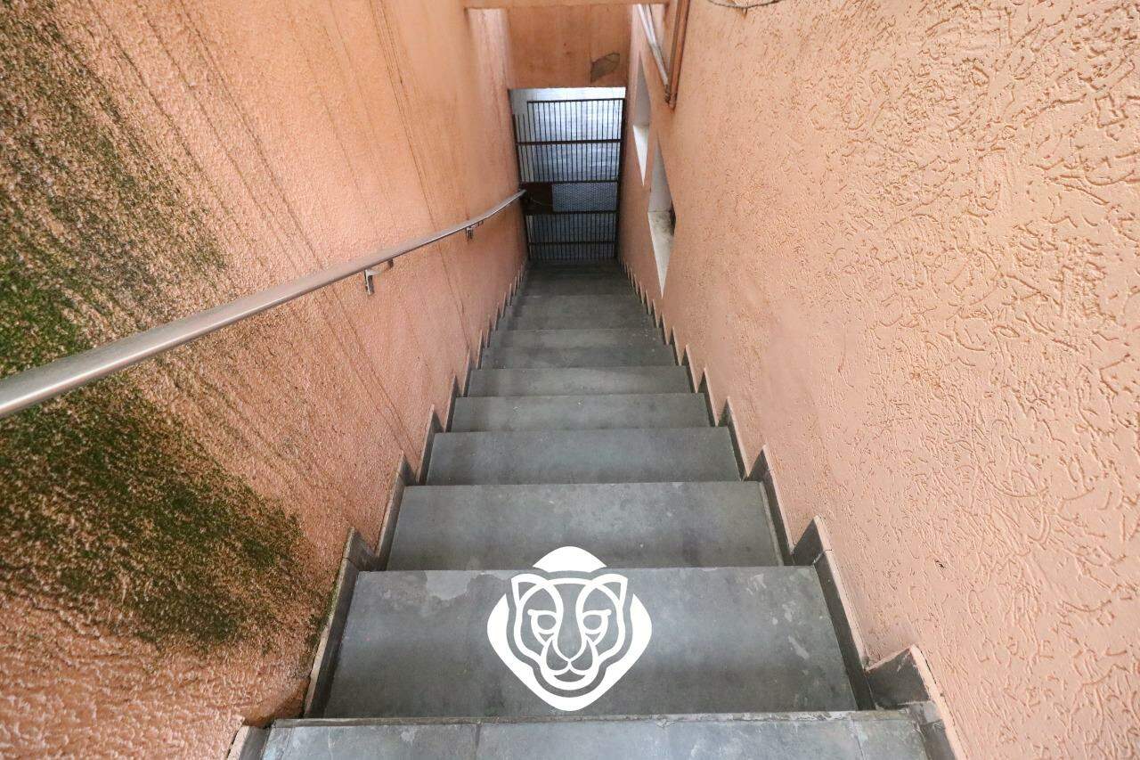 Entrada 