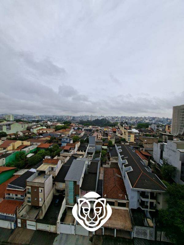 Vista