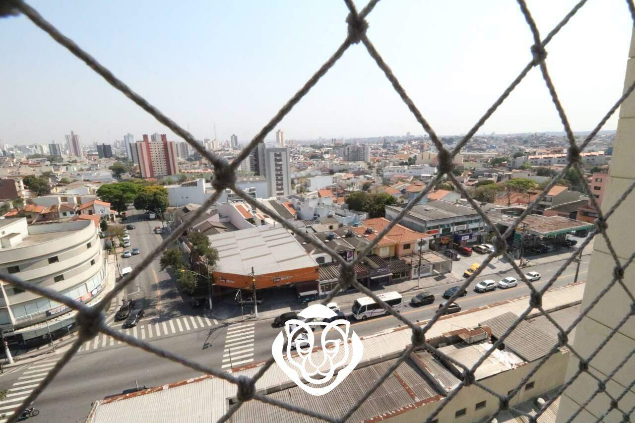 Vista