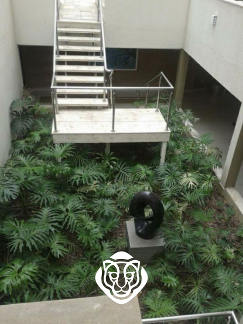 Jardim