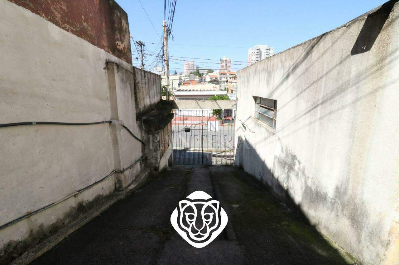 Entrada 