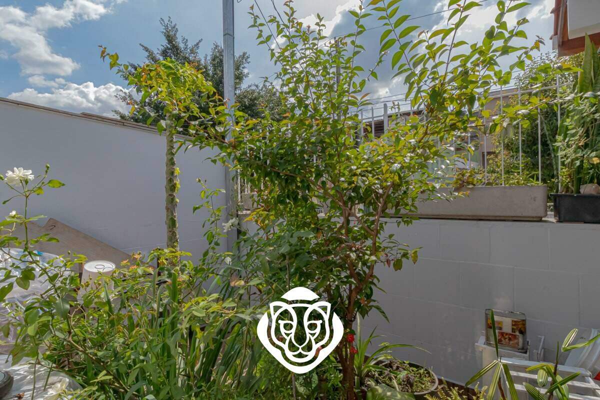 Jardim 