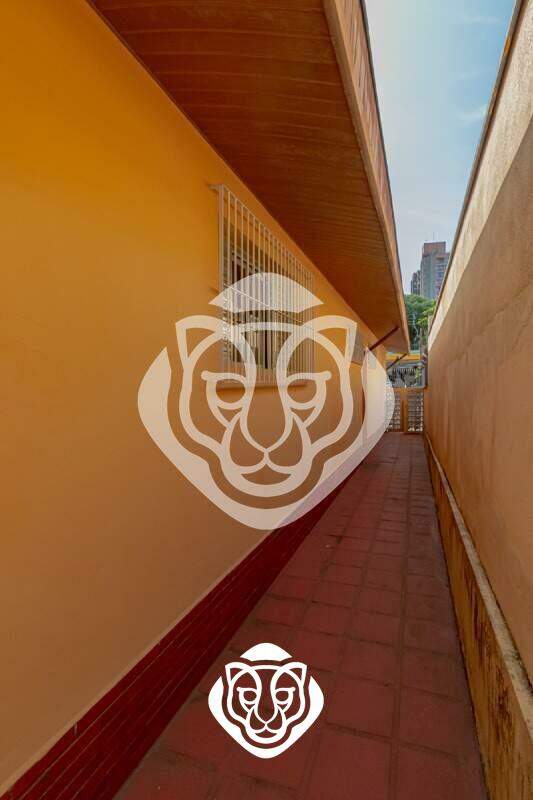 Corredor lateral