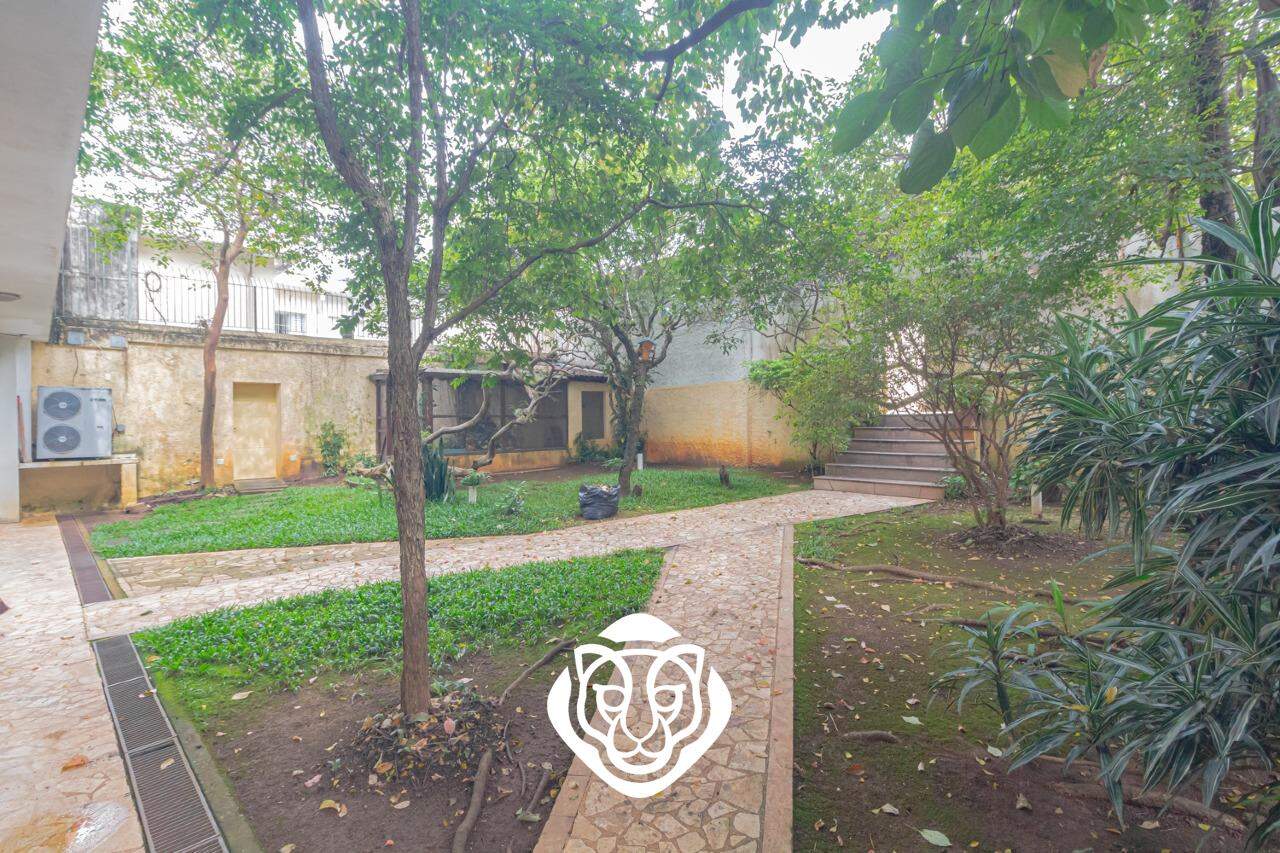 Jardim