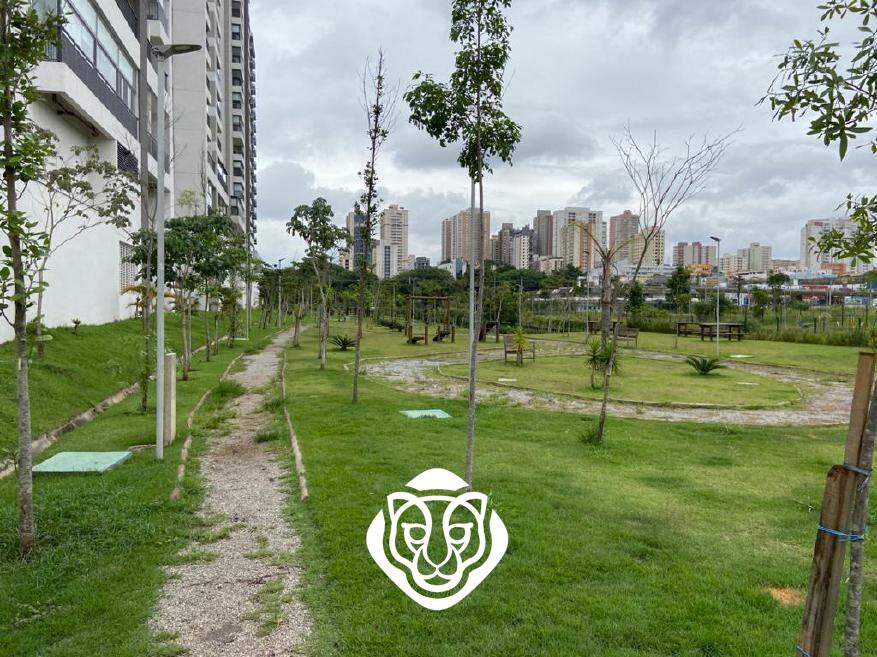 espaço verde