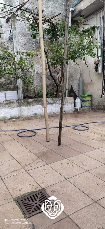 Quintal