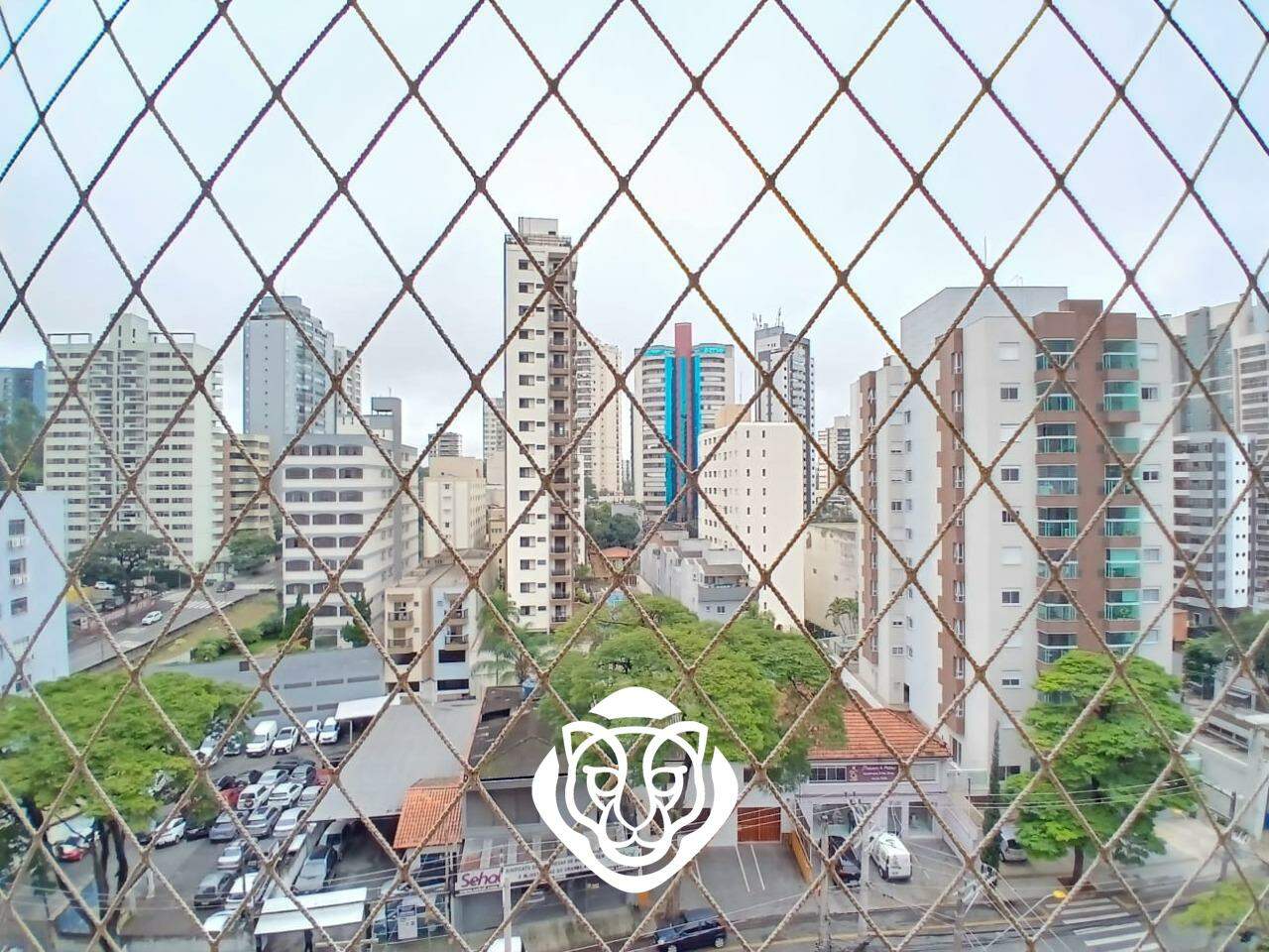 Vista