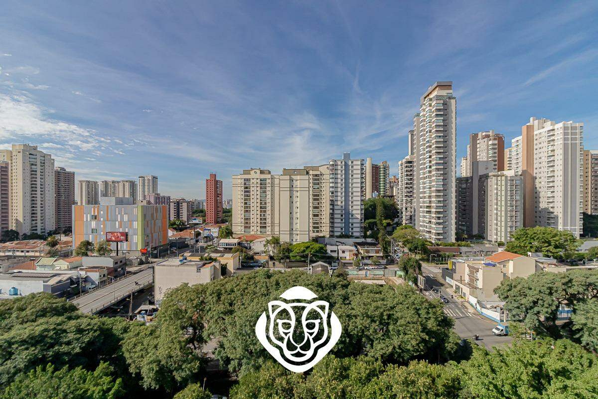 Vista