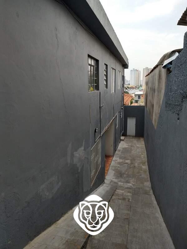 Corredor lateral externo