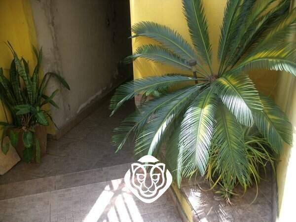 Quintal