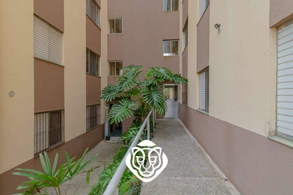 Entrada 