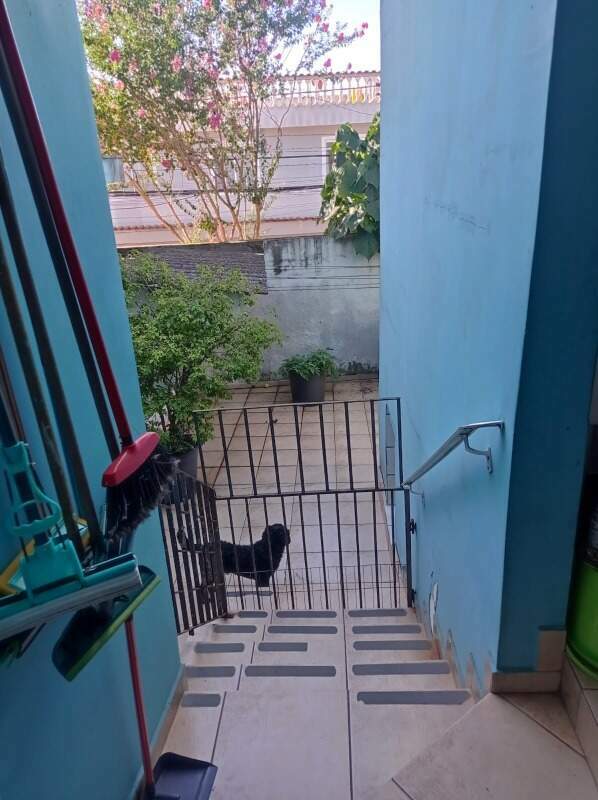 Escada para o quintal