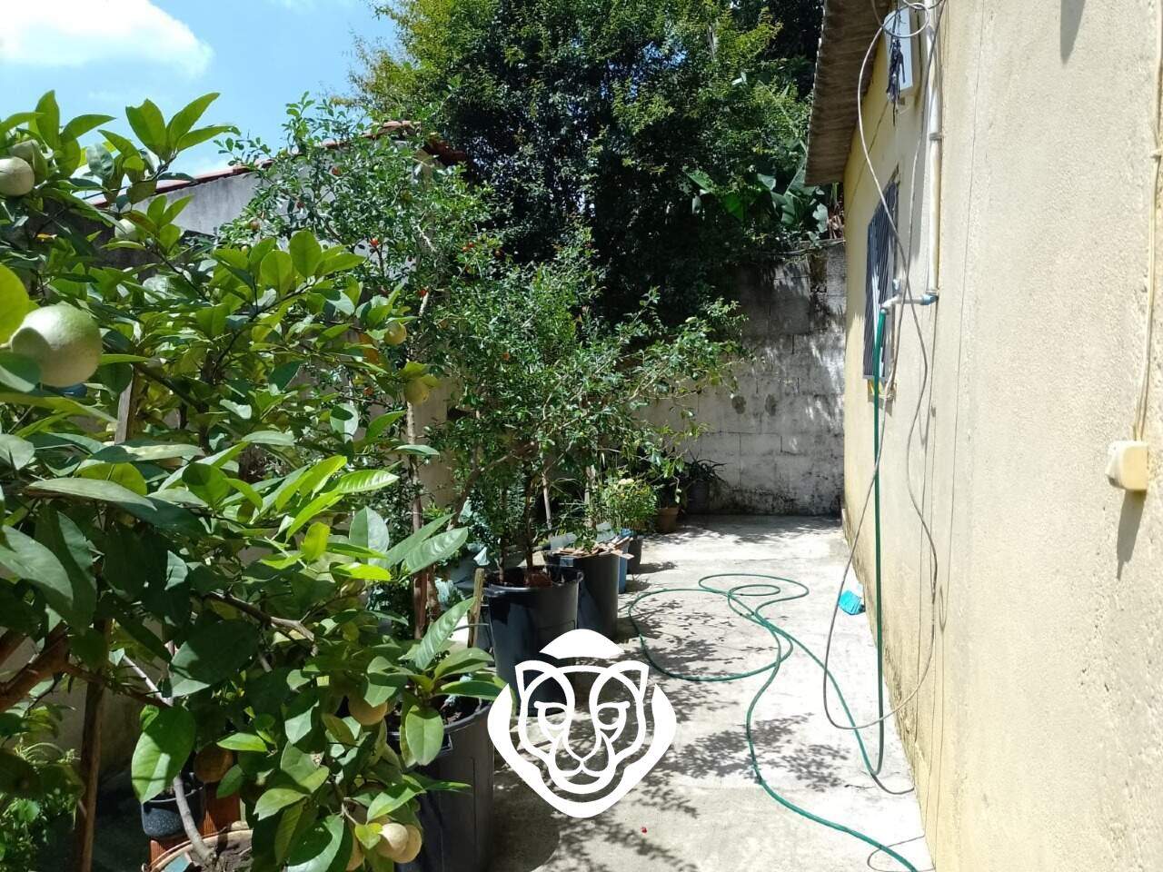 Quintal fundos
