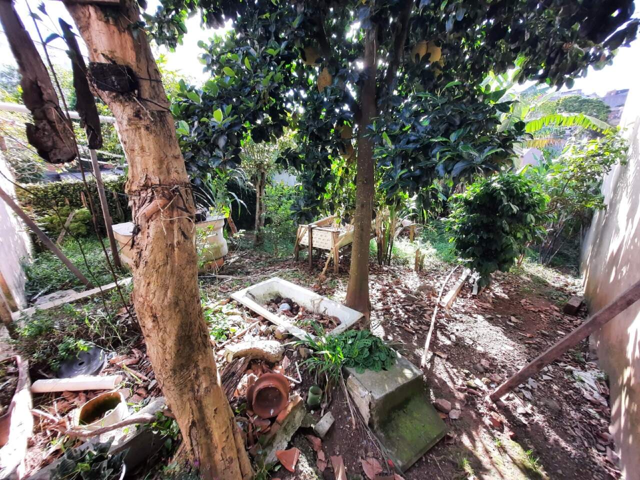 Quintal fundos
